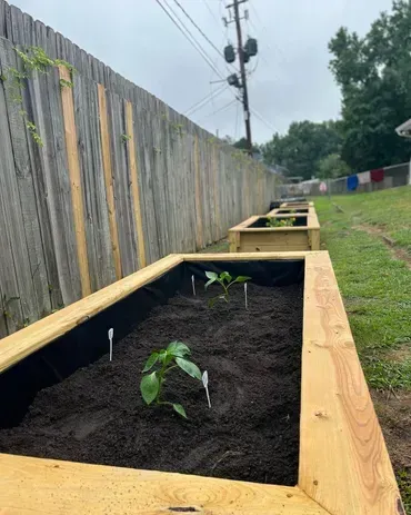 A row of wooden raised garden beds with plants growing in them.