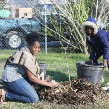 Two women are planting a tree in a yard.