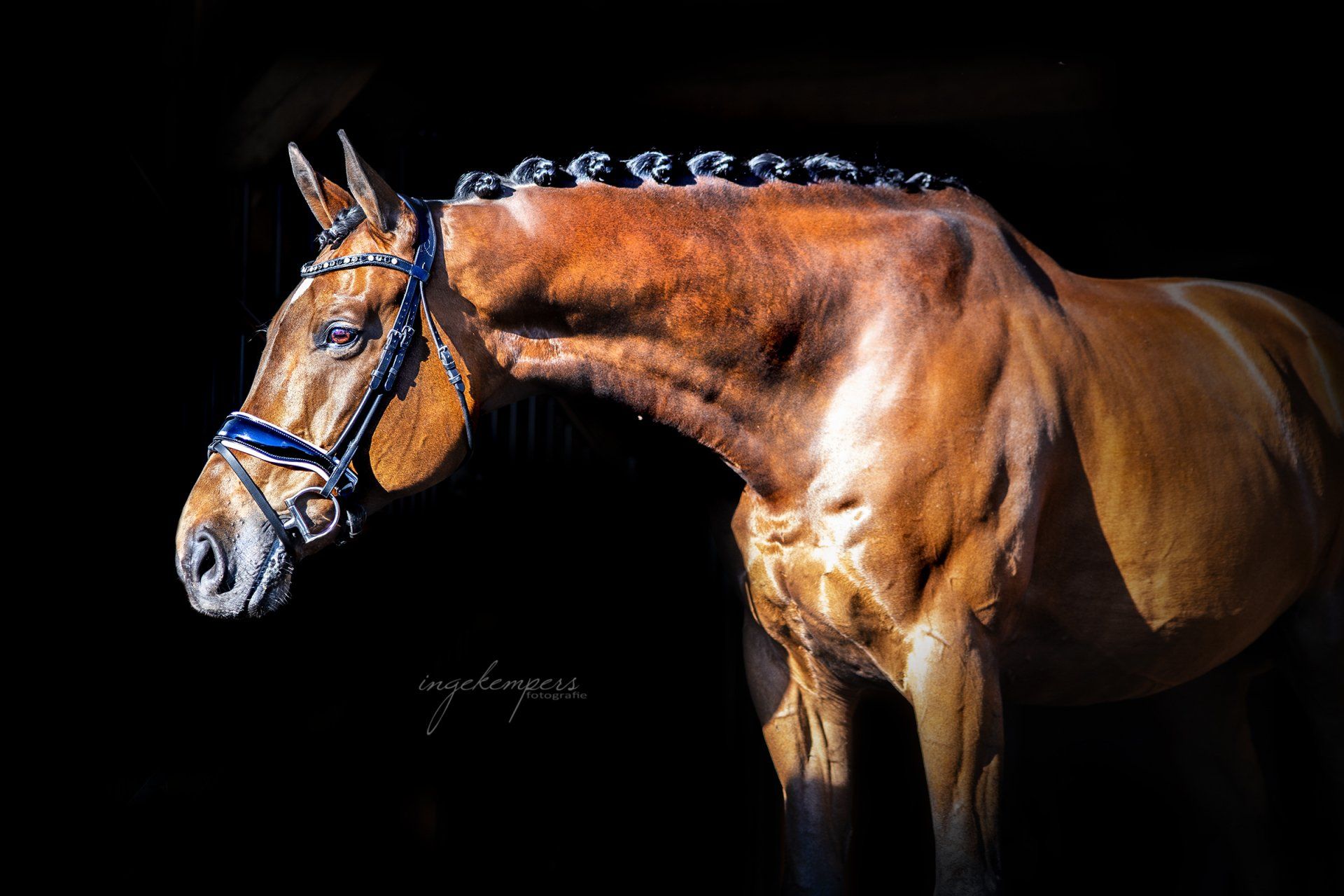 Feline Blikman en haar pony Coen