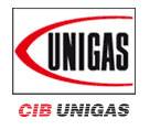 Unigas - Logo