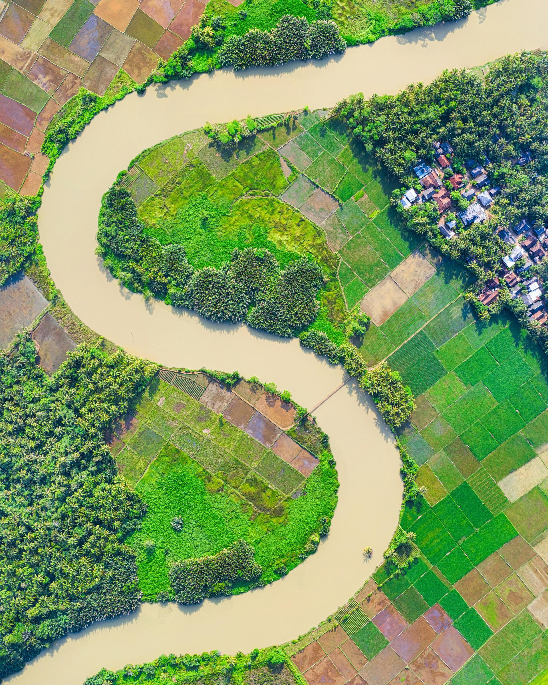 An aerial view of a river surrounded by fields and trees.