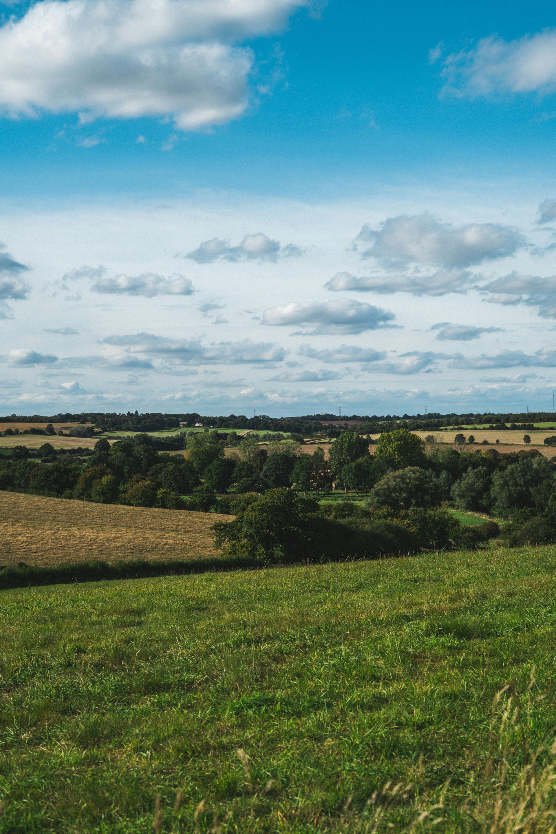 Landscape photo of fields and trees
