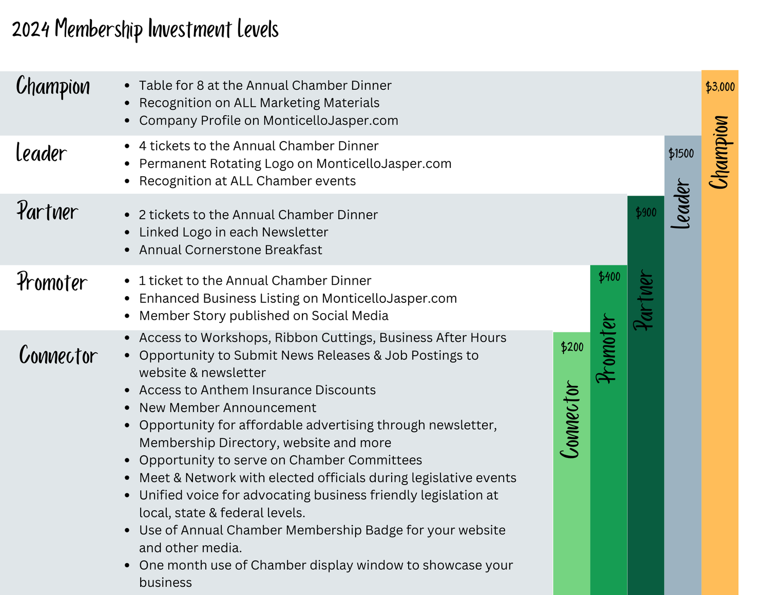 A chart showing the membership levels of a company