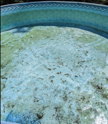 Close-up of a blue-tiled pool with cloudy, murky water and visible debris on the surface