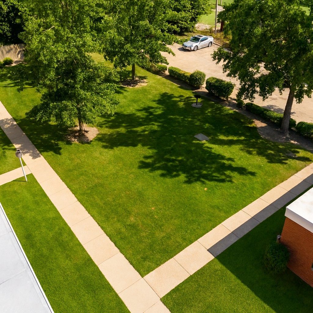 Green lawn with trees, sidewalks, and a car parked in the distance. Sunny day.