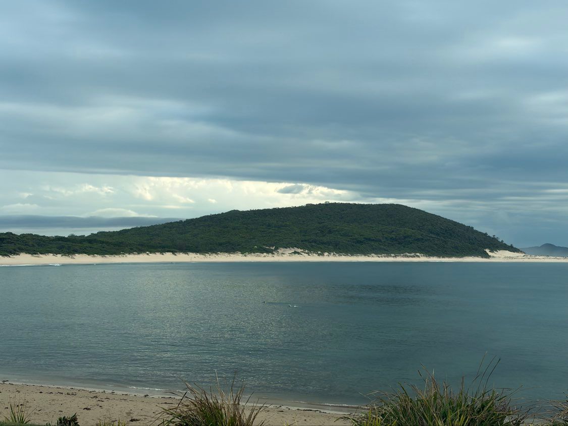 Woman in wheelchair petting ponies at an outdoor farm, holding a doll. Sunny day.