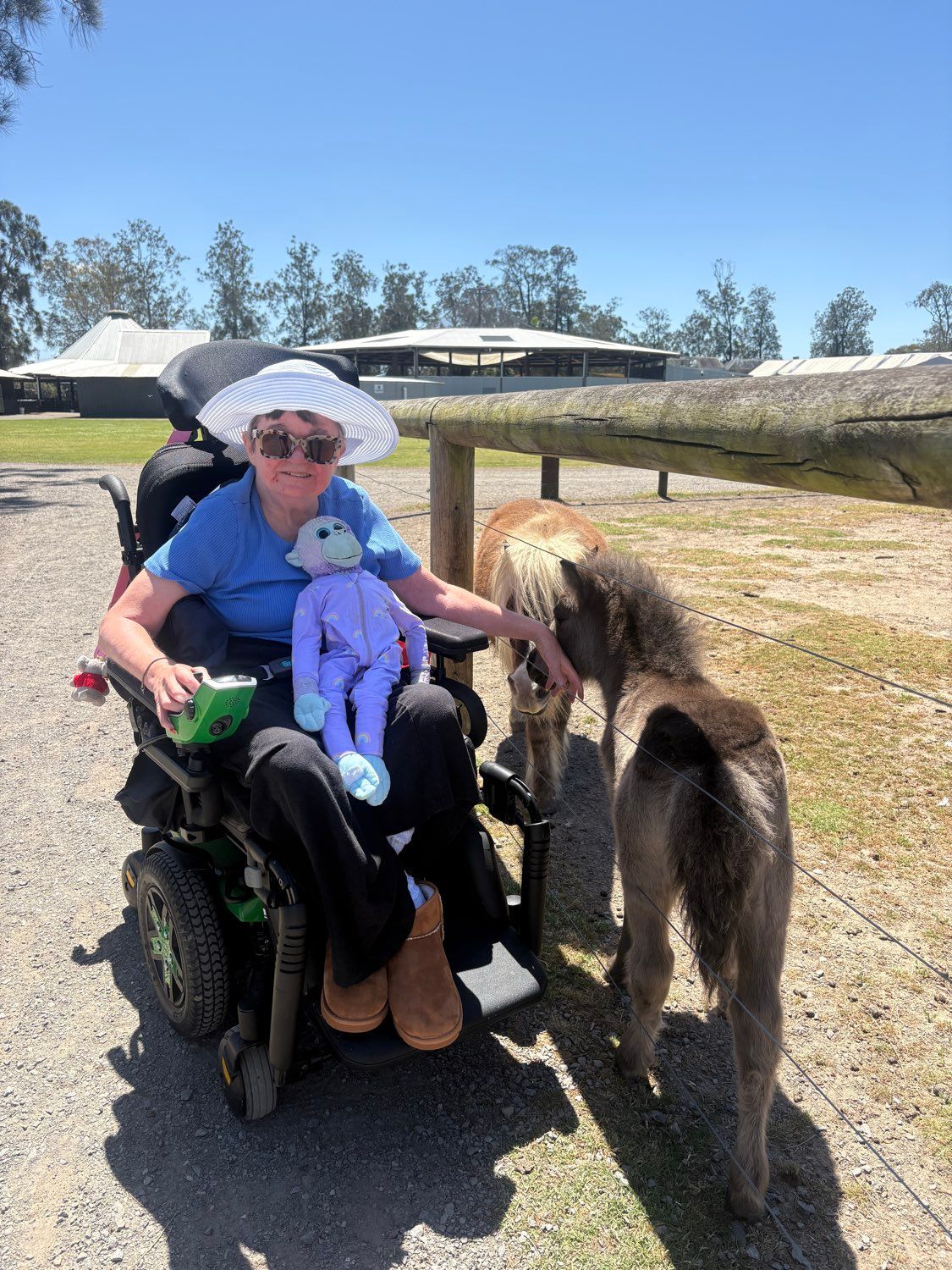 Woman in wheelchair petting a small donkey; sunny day at a farm.