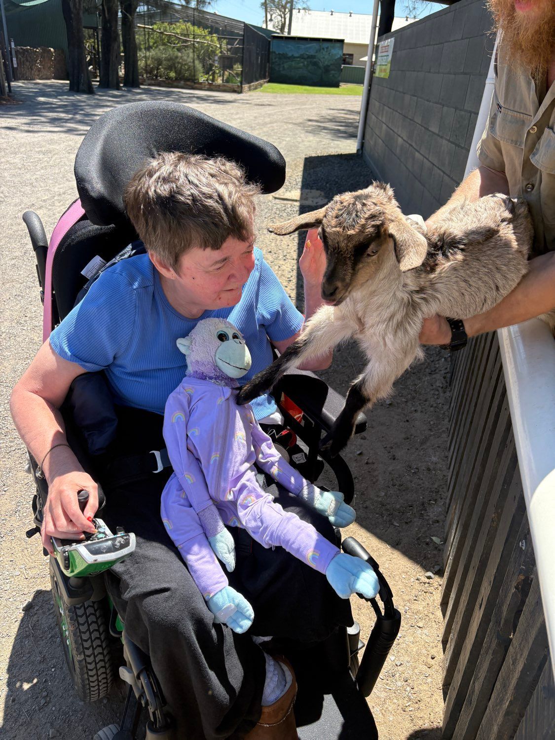 Person in a wheelchair interacting with a baby goat held by a zoo worker. Sunny outdoor setting.