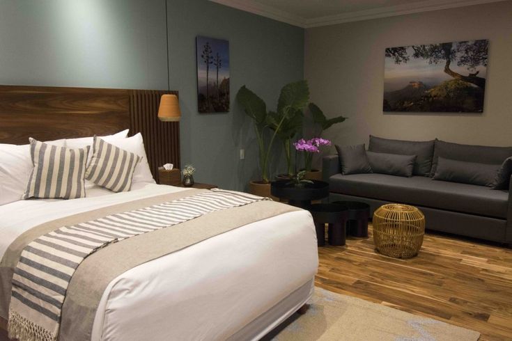 Hay una cama y un sofá en la habitación.
