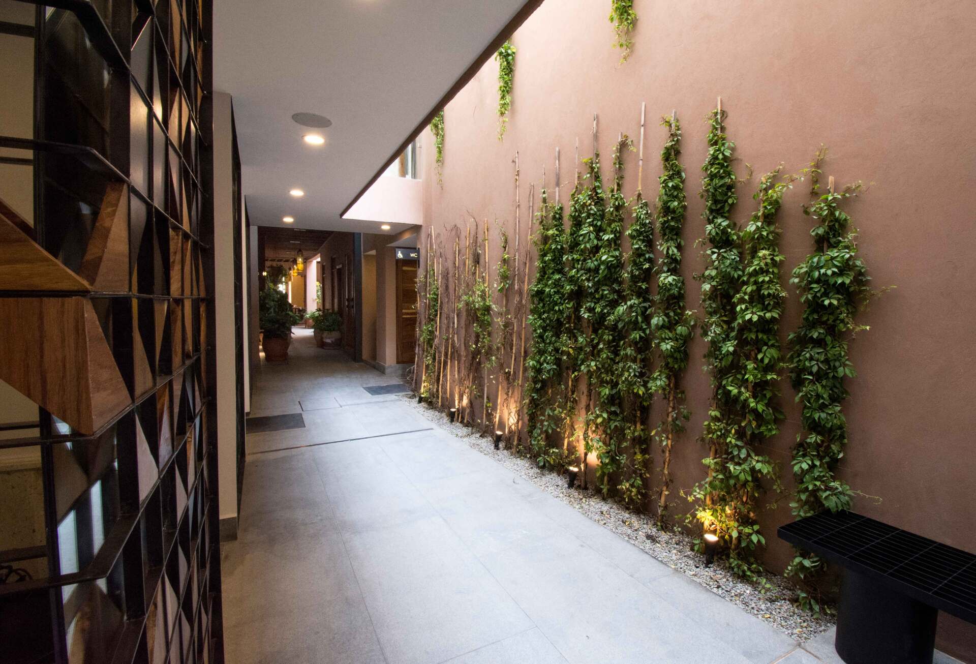 Un largo pasillo con plantas creciendo en la pared.