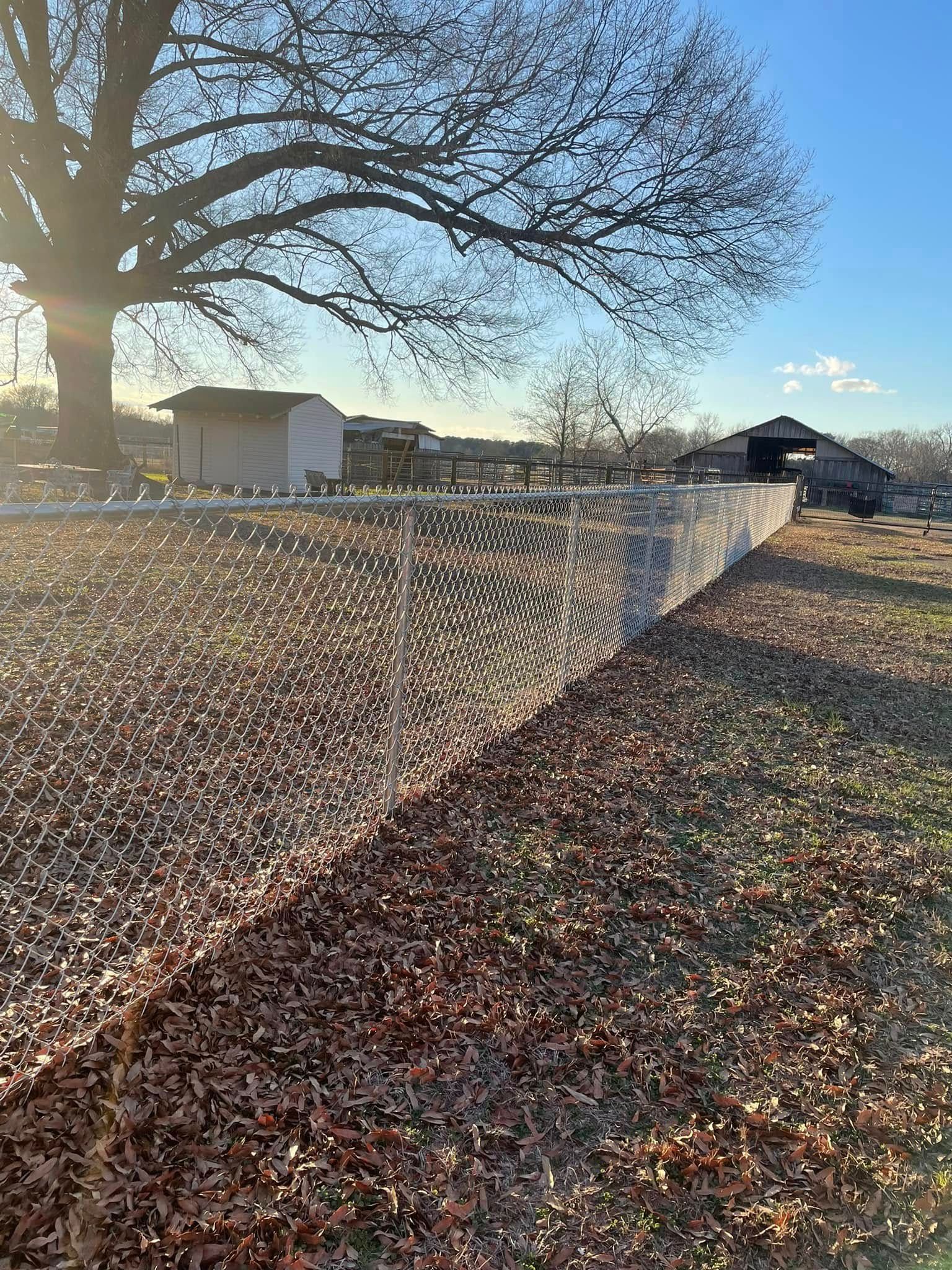 A chain-link fence runs along a field of brown leaves. A large tree and small buildings are in the background.