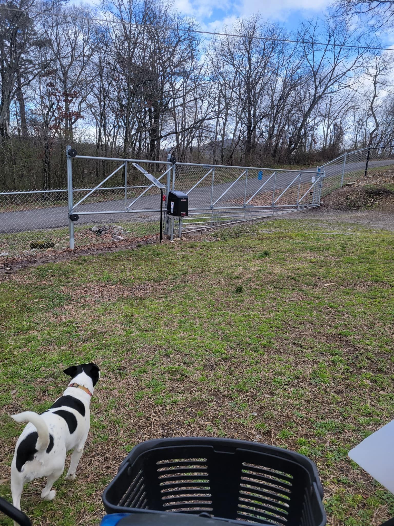 Dog facing closed gate; metal fence, trees, and cloudy sky in background.