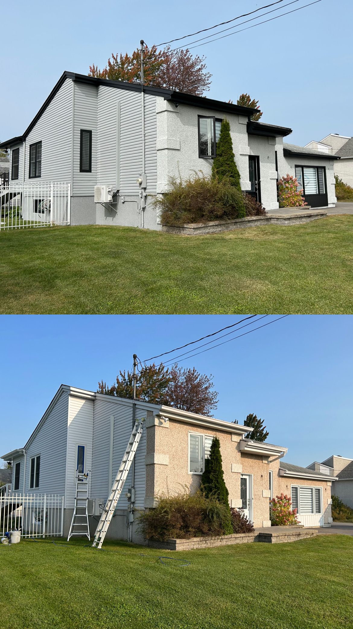 Une photo avant et après d'une maison peinte avec un imprimé zèbre.