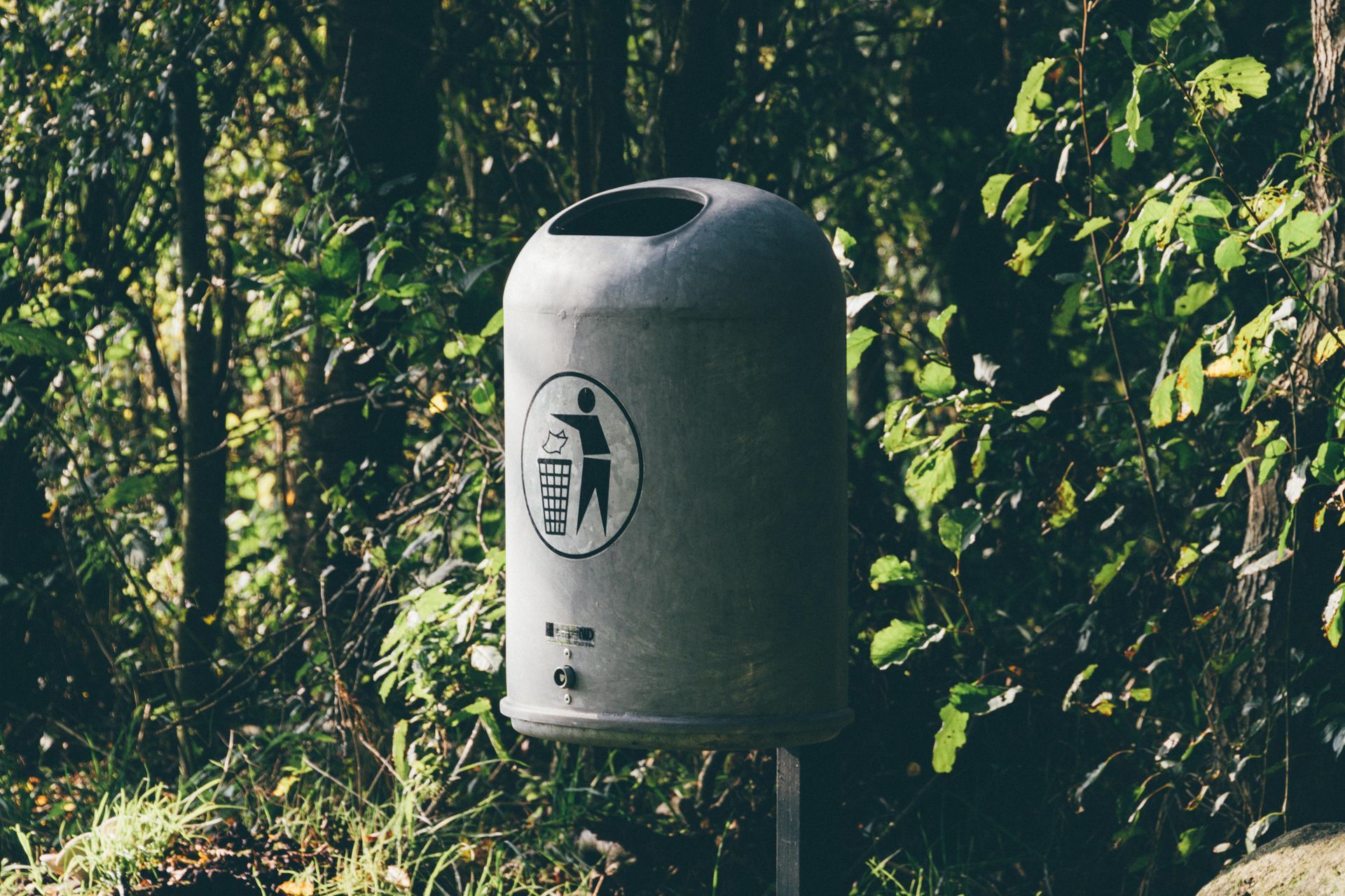A trash can is sitting in the middle of a forest.