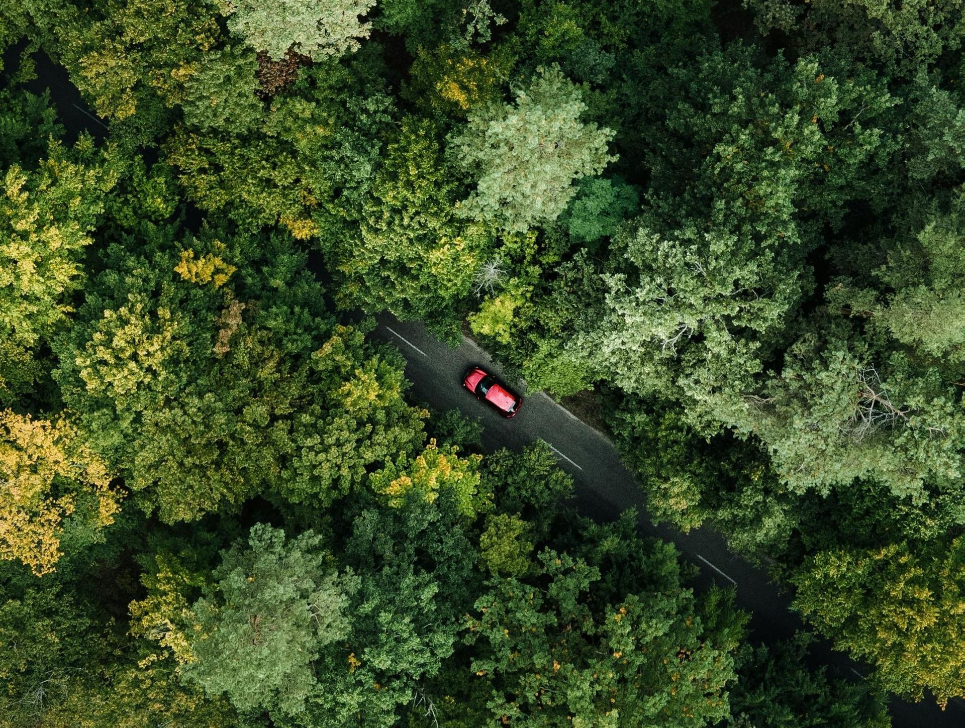 An aerial view of a car driving down a road through a forest.