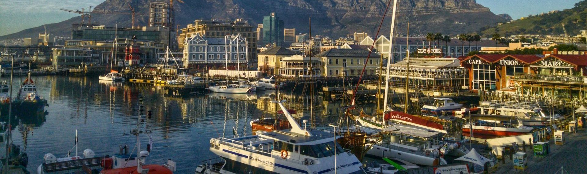 A harbor filled with boats and a mountain in the background