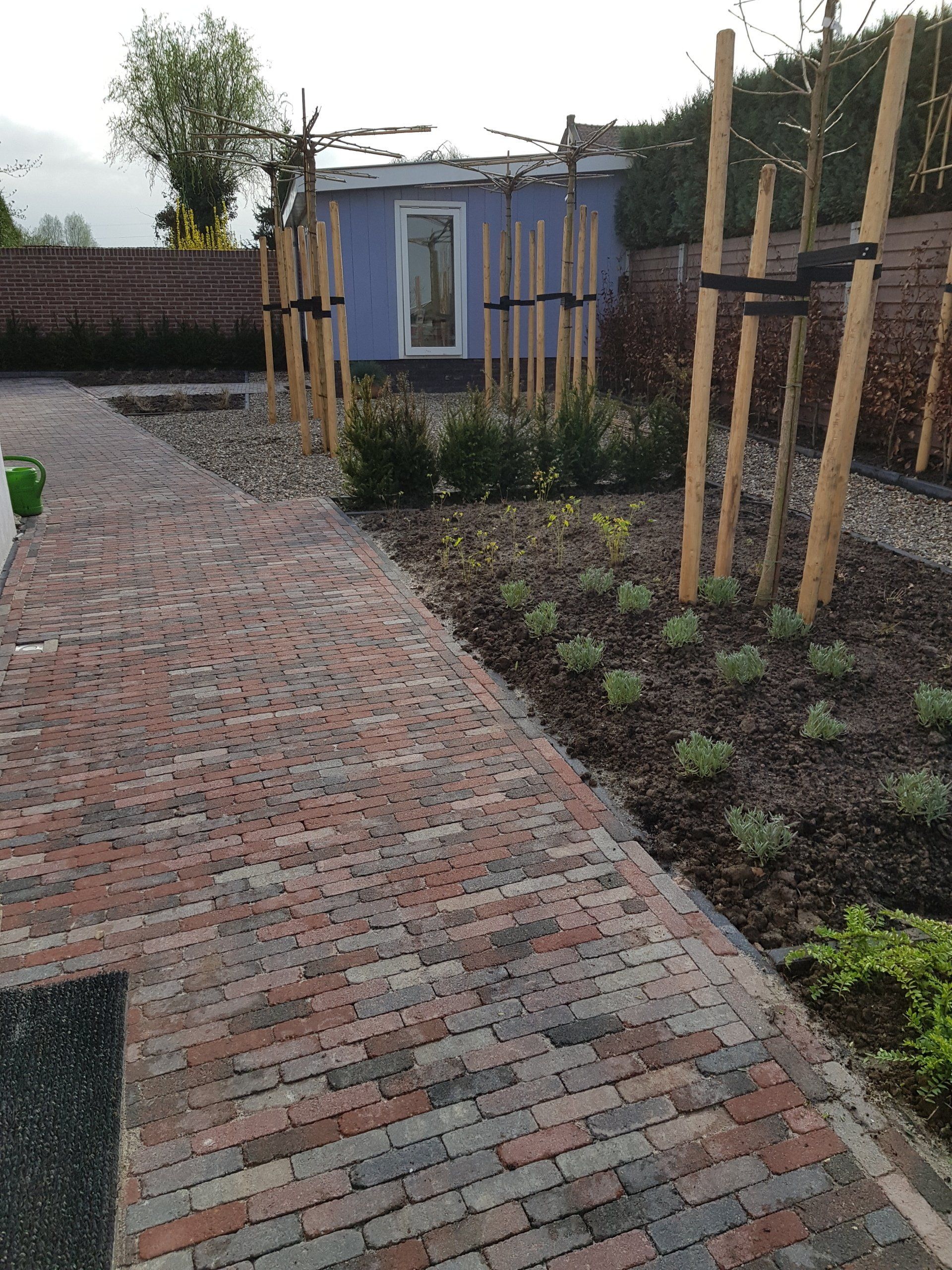 Tuin aanleg met renovatie