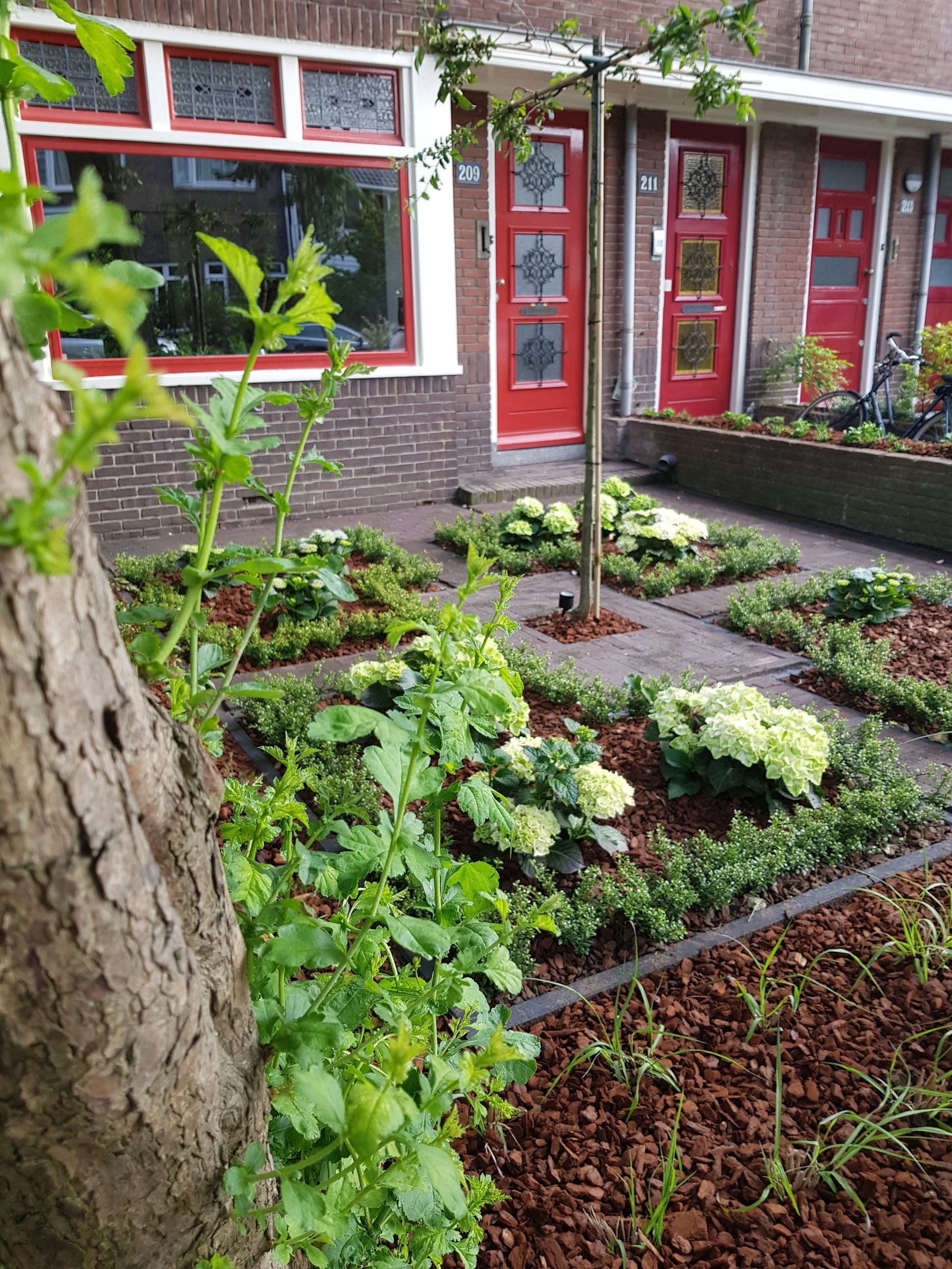 nieuwe voortuin aanleggen