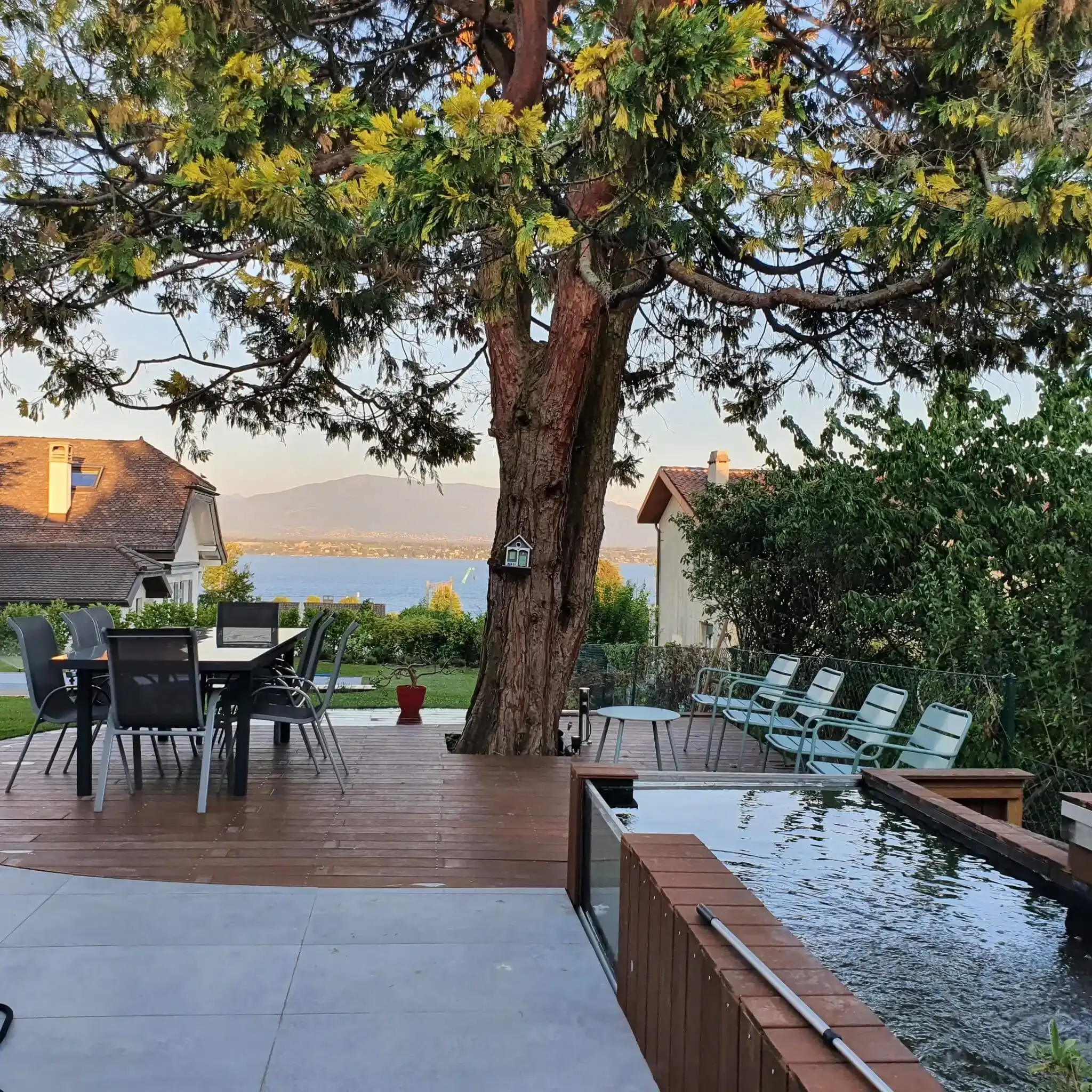 Un patio avec une table et des chaises sous un arbre