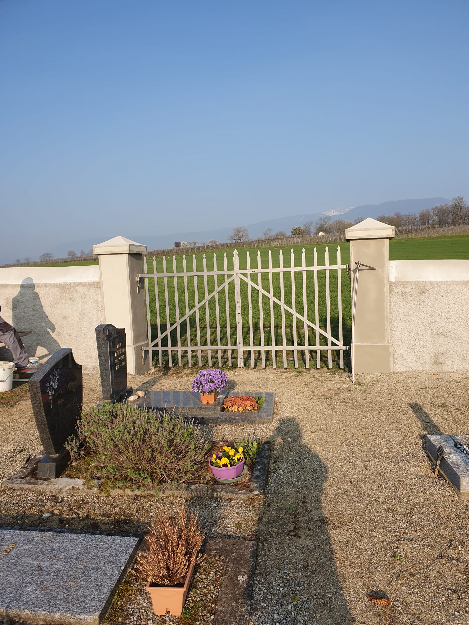 rénovation de portail