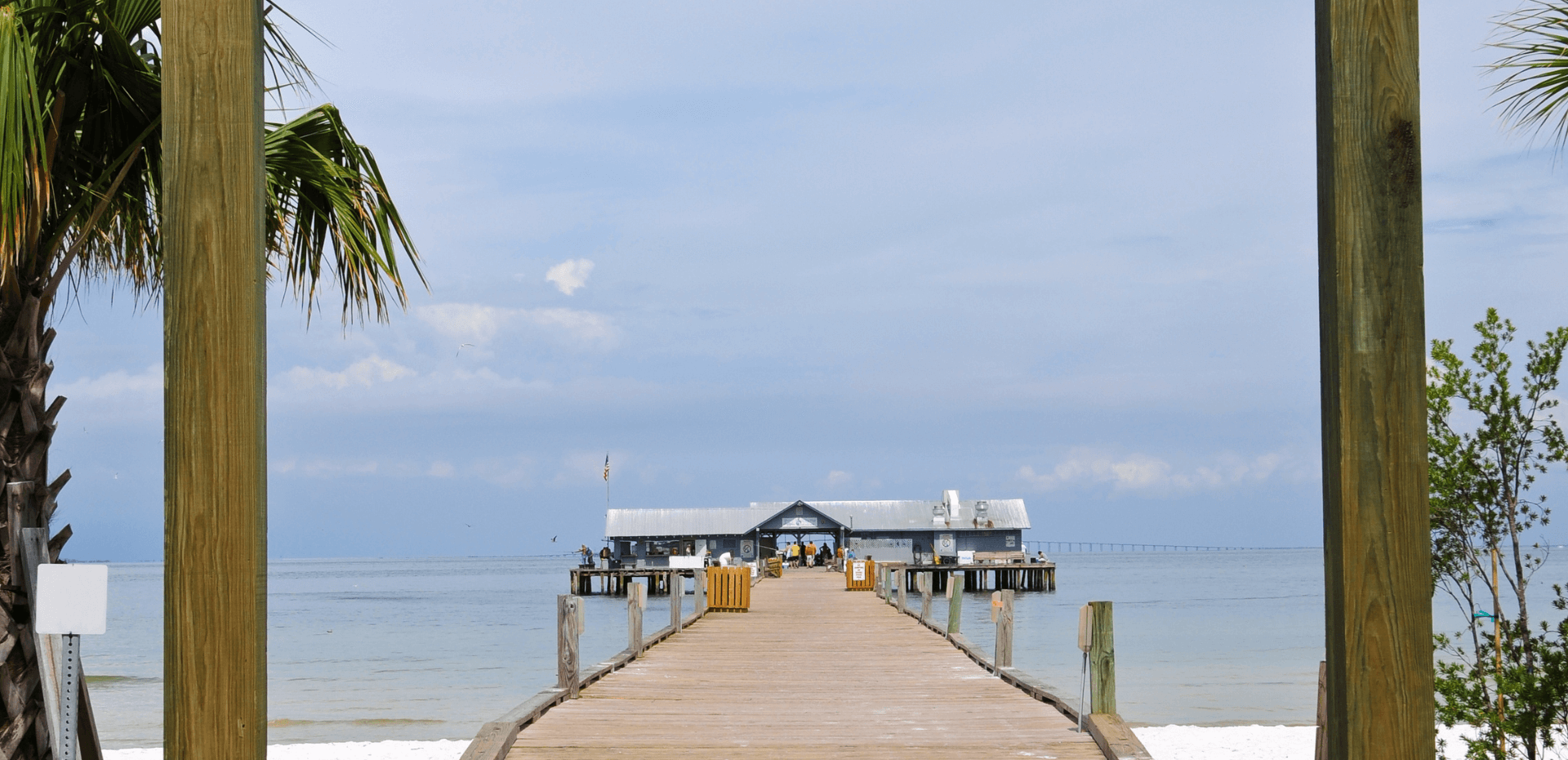 A wooden pier leading to the ocean with a palm tree in the foreground