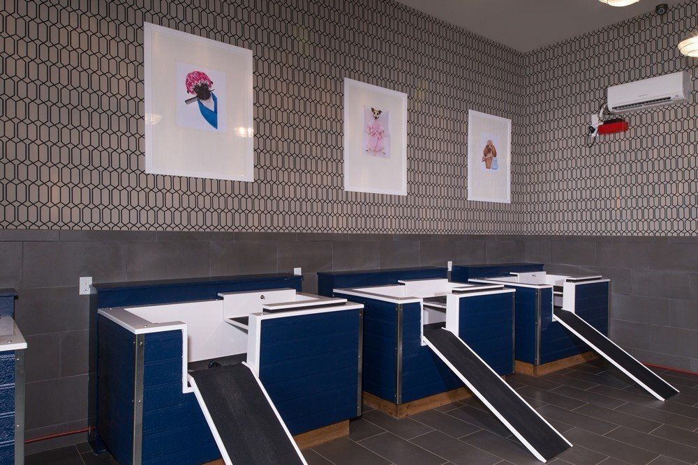 Dog wash at Silver Collection at Cosner's Corner in Fredericksburg, VA.