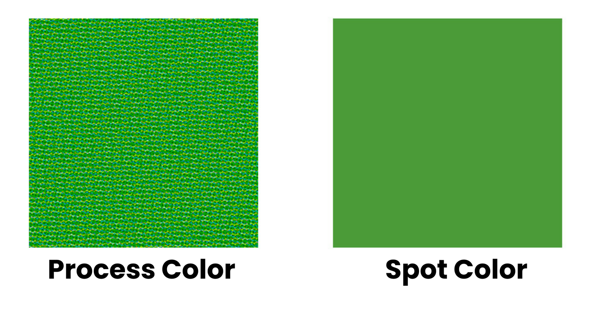 A green square and a green square with the words process color and spot color.
