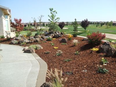 A garden with rocks and flowers in front of a house