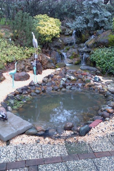 A pond in a garden with a waterfall in the background