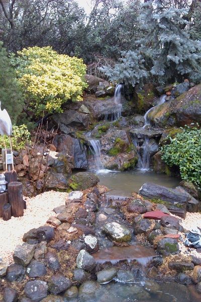 A waterfall is surrounded by rocks and trees in a garden.