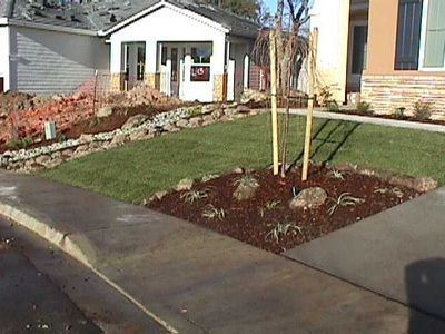 A house with a lush green lawn and a sidewalk in front of it
