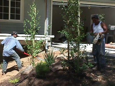 Two men are working in a garden in front of a house