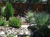 A lush green garden with a wooden fence and a stream running through it.
