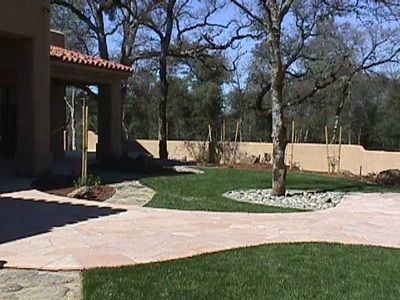 A house with a large lawn and trees in front of it