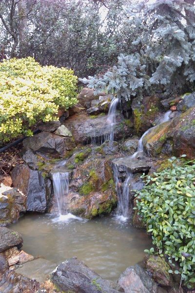 A small waterfall is surrounded by rocks and trees in a garden.