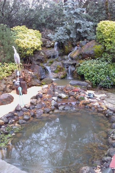 There is a pond with a waterfall in the background.