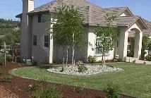 A large house with a lush green lawn and trees in front of it.
