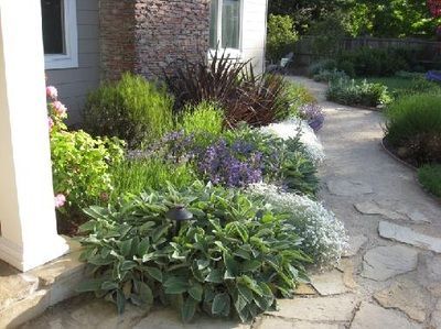 A stone walkway leading to a house surrounded by plants and flowers