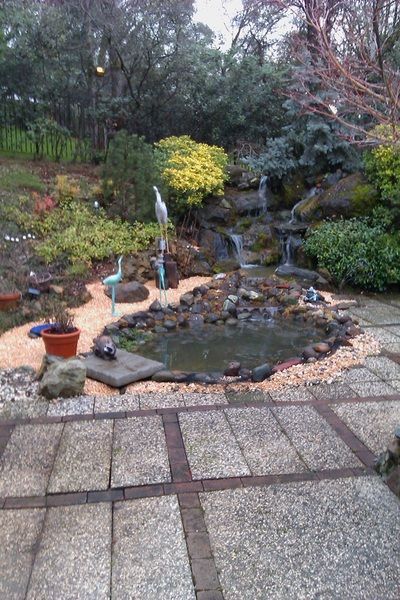 There is a pond with a waterfall in the middle of the garden.