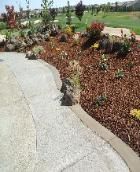 A concrete walkway surrounded by plants and mulch leading to a golf course.