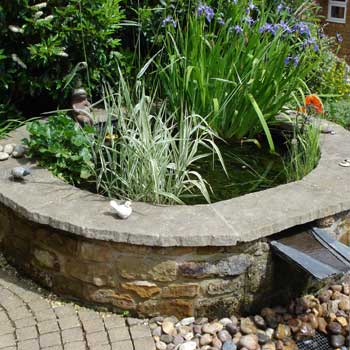 Pond with greenery