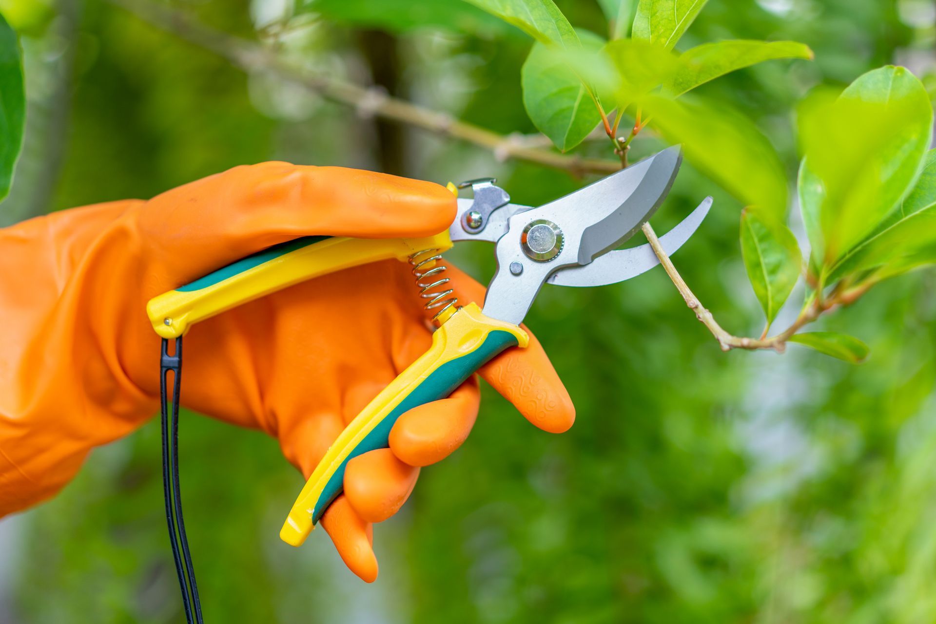 A person wearing orange gloves is holding a pair of scissors.