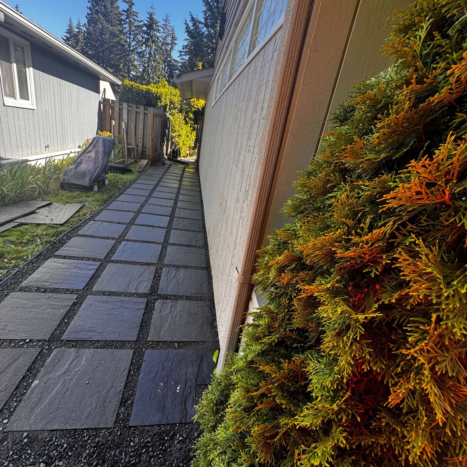 A narrow walkway between two houses with trees on both sides