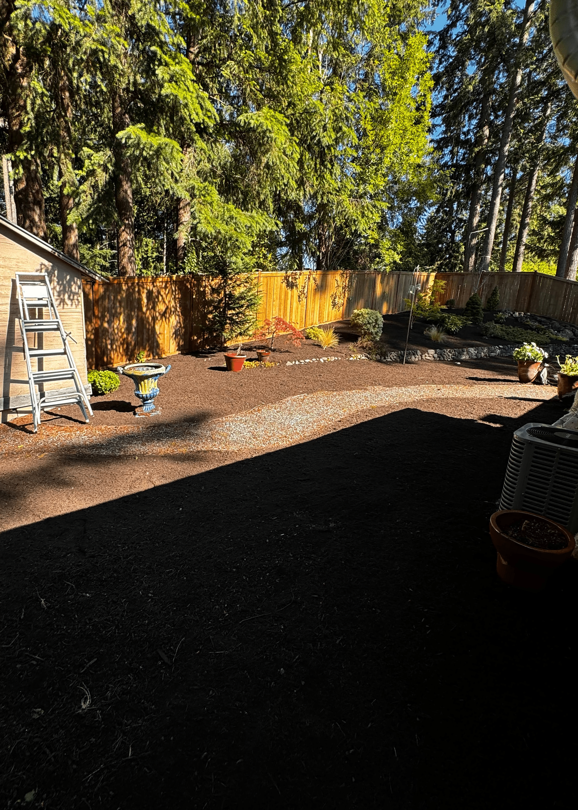 A backyard with a wooden fence and a ladder in the foreground.