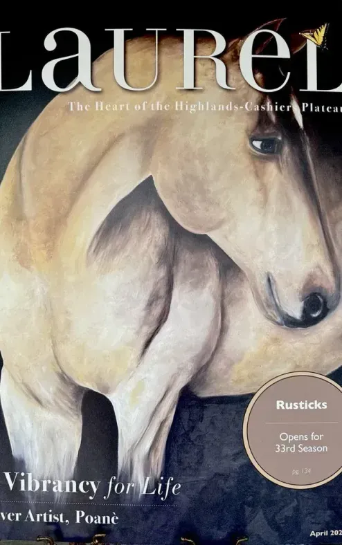A magazine cover with a painting of a horse on it