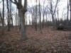 Area — Lot in Acre Wood in Murray, KY