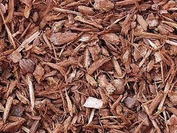 Brown mulch ground cover.