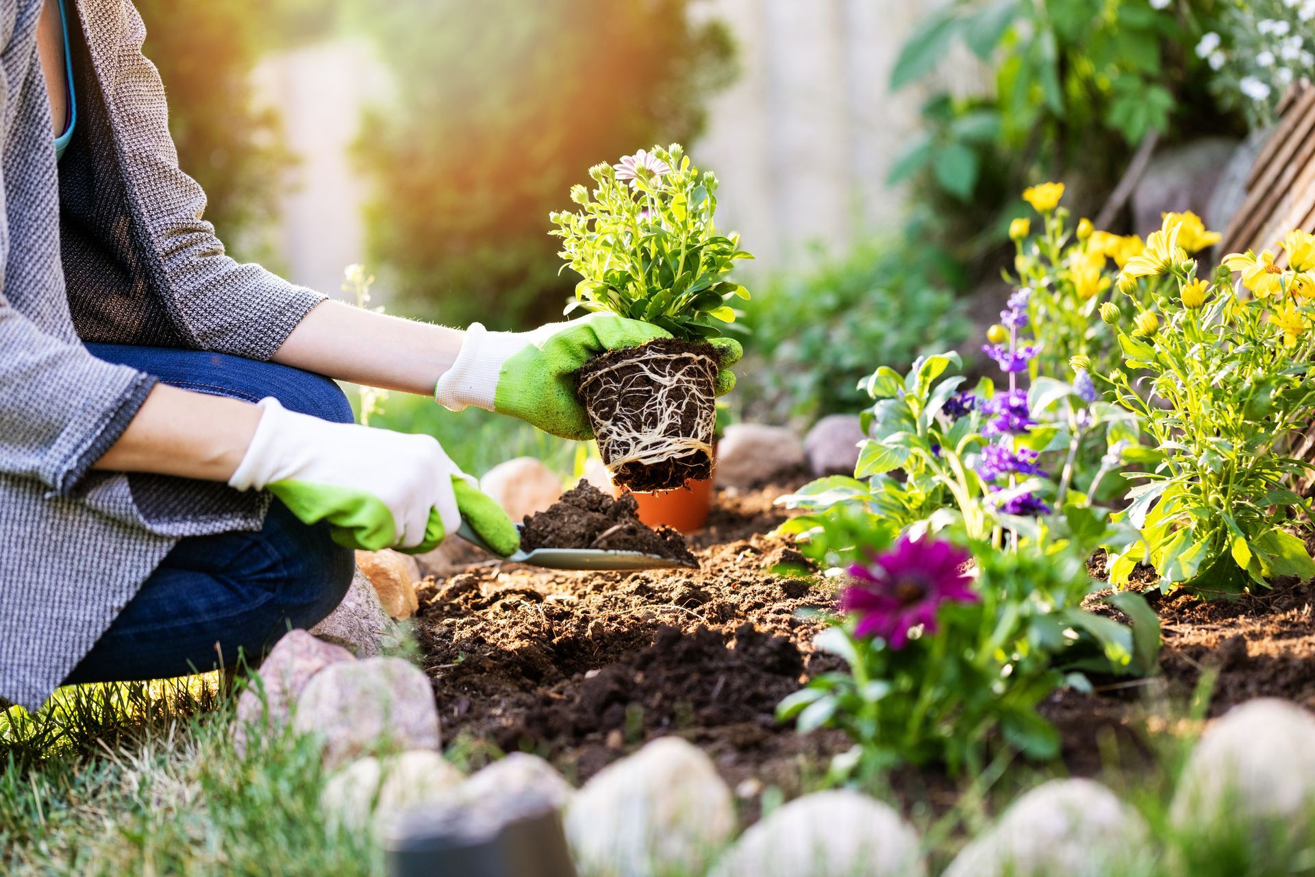 A person wearing green gardening gloves plants a small potted flower into soil in a sunny garden.