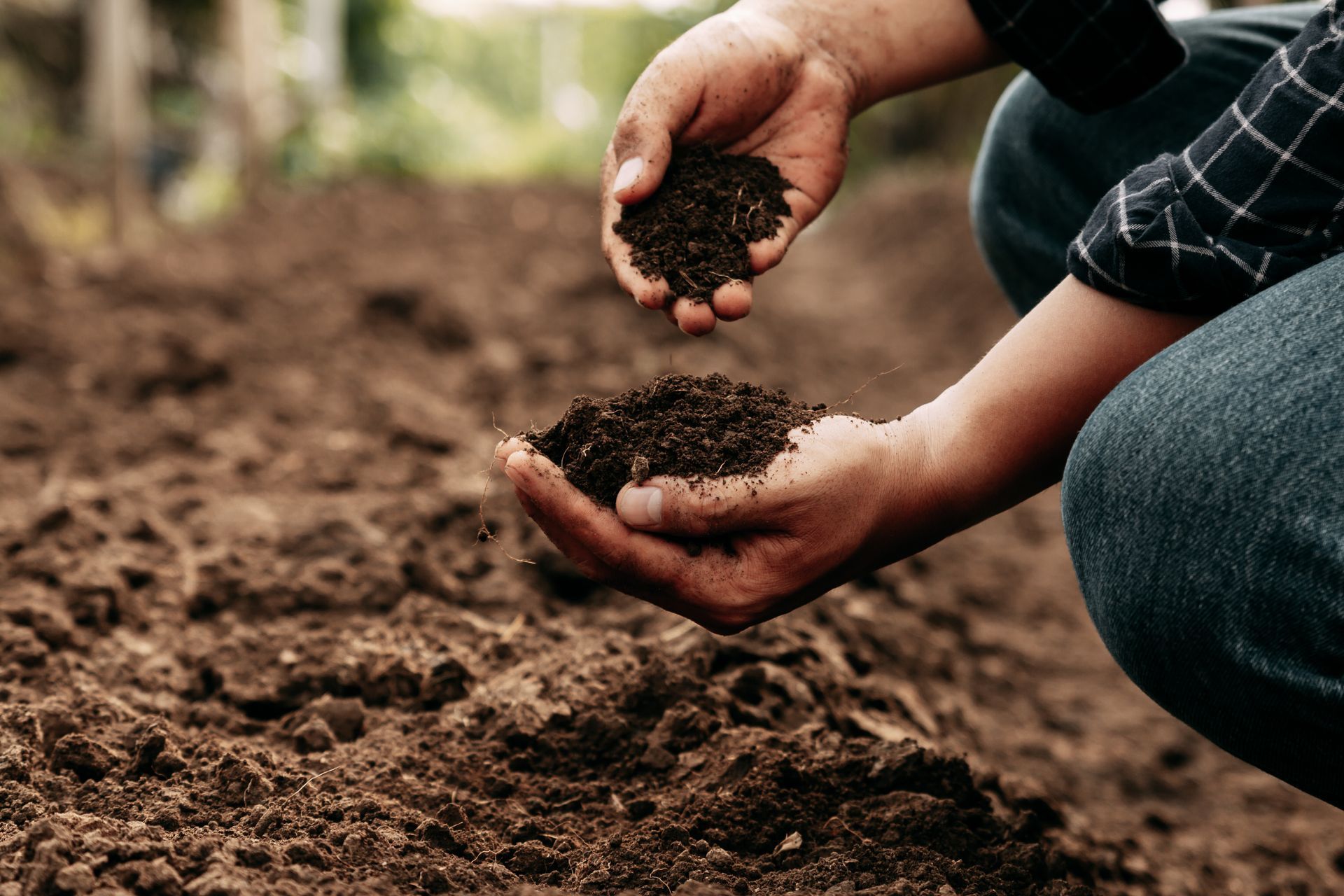 Person inspecting soil with dark brown hands, kneeling outdoors.