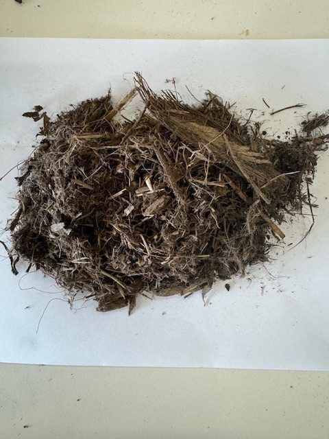 Pile of dark brown shredded fibers on a white surface.